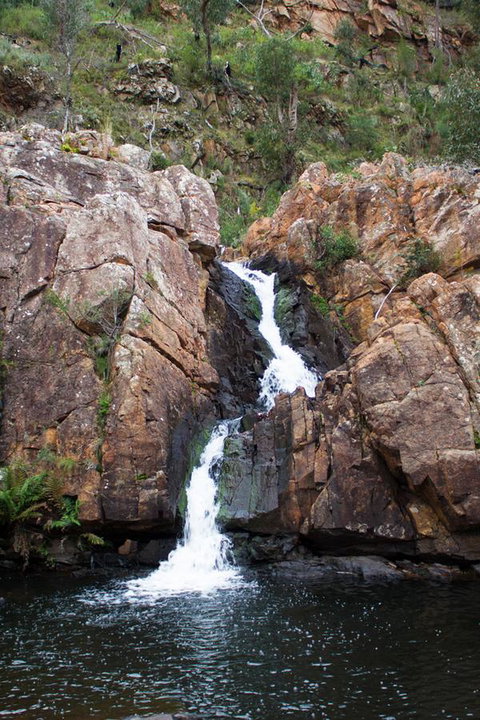 Marwood Villas - Surfers Paradise Gold Coast 27