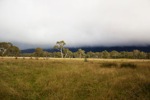 Marwood Villas - Surfers Paradise Gold Coast 42