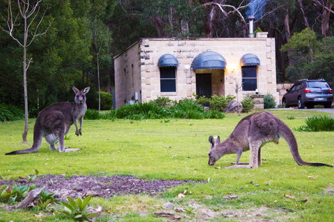Marwood Villas - Surfers Paradise Gold Coast 31