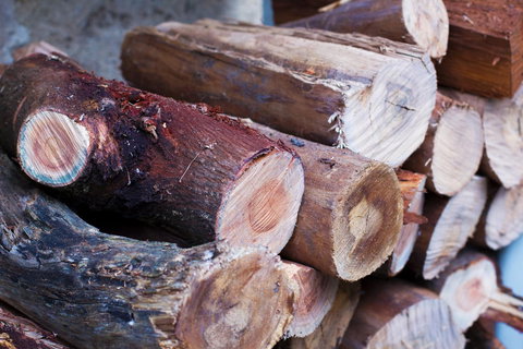 Marwood Villas - Surfers Paradise Gold Coast 3