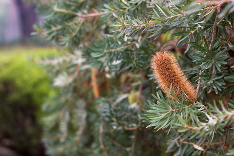 Marwood Villas - Surfers Paradise Gold Coast 34