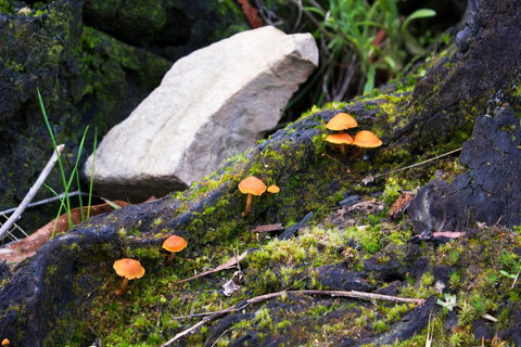 Marwood Villas - Surfers Paradise Gold Coast 29