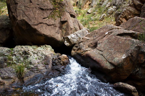 Marwood Villas - Surfers Paradise Gold Coast 39