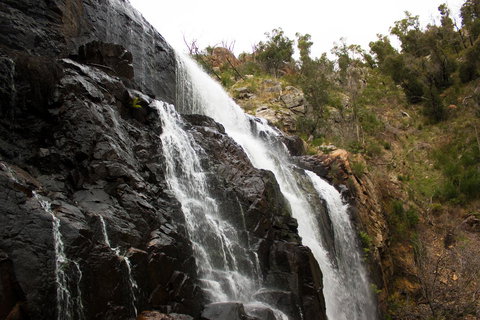 Marwood Villas - Surfers Paradise Gold Coast 38