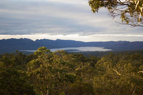 Marwood Villas - Surfers Paradise Gold Coast 32