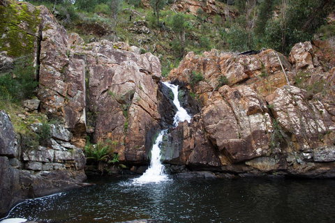 Marwood Villas - Surfers Paradise Gold Coast 41