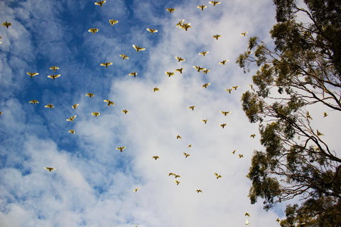 Marwood Villas - Surfers Paradise Gold Coast 26