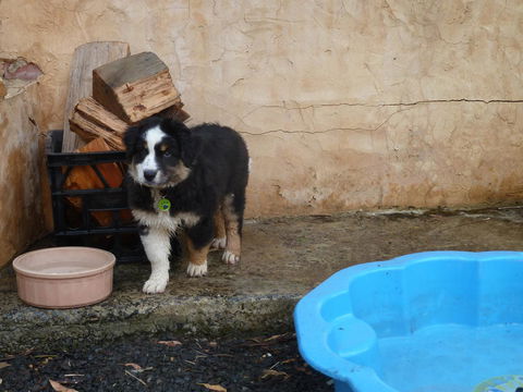 Bundjil Studio - Surfers Paradise Gold Coast 15