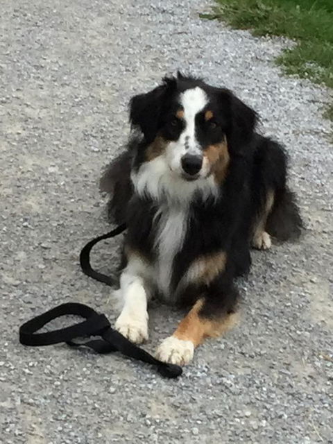 Bundjil Studio - Surfers Paradise Gold Coast 14