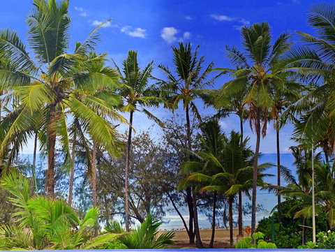 By The Sea Port Douglas - Surfers Paradise Gold Coast 3