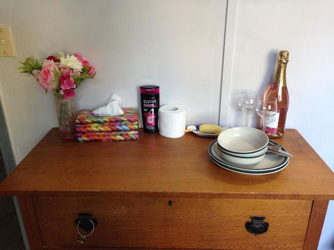 XYL Pets Friendly Seaside Boutique Guesthouse - Surfers Paradise Gold Coast 19