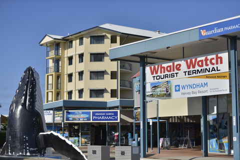 Mantra Hervey Bay - Surfers Paradise Gold Coast 23