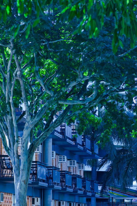 Soho Brisbane - Surfers Paradise Gold Coast 12