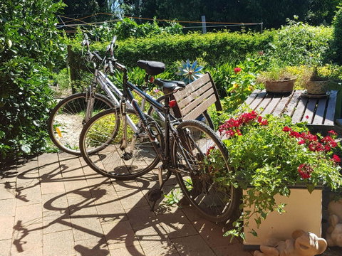 Manitzky Magic -B&B Home With Heart - Surfers Paradise Gold Coast 26