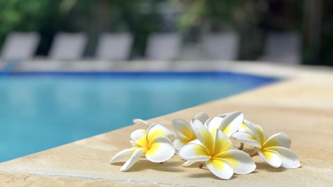 Hi Ho Beach Apartments On Broadbeach - Surfers Paradise Gold Coast 2