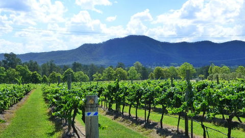 Winmark Wines - Surfers Paradise Gold Coast 1