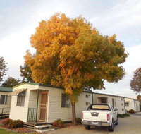 Wodonga Caravan  Cabin Park - Surfers Paradise Gold Coast