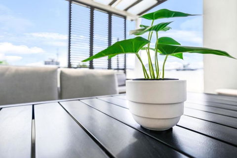 Accent On McLeod - Breezy Outdoor Living - Surfers Paradise Gold Coast 0