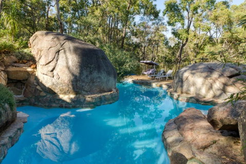 A Paradise For Dogs And A Magical Retreat For Hoomans - Surfers Paradise Gold Coast 0
