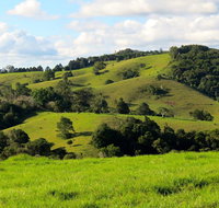 Maleny Springs Farm - Surfers Paradise Gold Coast