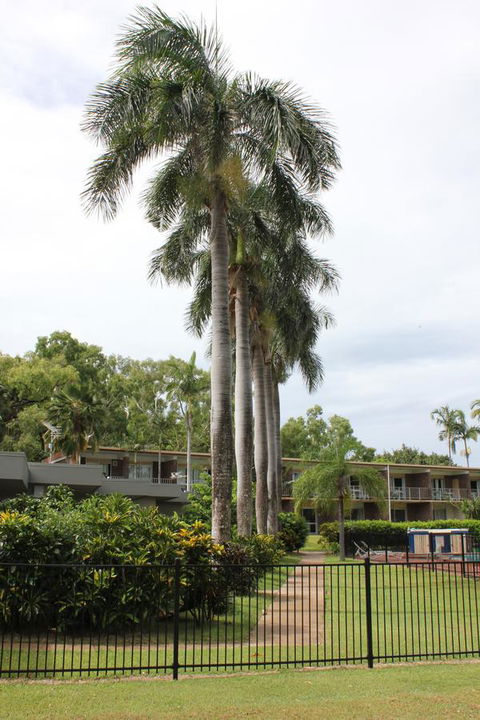Arcadia Village Motel - Surfers Paradise Gold Coast 19