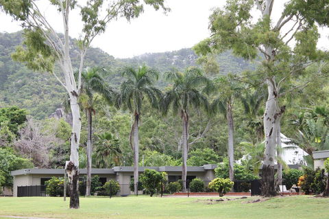 Arcadia Village Motel - Surfers Paradise Gold Coast 11