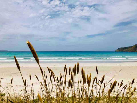 Modern Beach Villa - Surfers Paradise Gold Coast 14