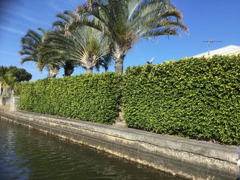 Private Canal Duplex With Pontoon - Oleander Drive, Bongaree - Surfers Paradise Gold Coast 8