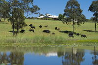 Book Nabiac Accommodation Vacations Surfers Paradise Gold Coast Surfers Paradise Gold Coast