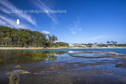 6/1 Riversdale Ave - Mollymook Exclusive - Surfers Paradise Gold Coast 2