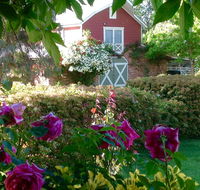 A Country Barn Retreat - Surfers Paradise Gold Coast