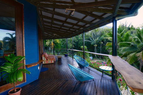 A Daintree Garden - Surfers Paradise Gold Coast 2