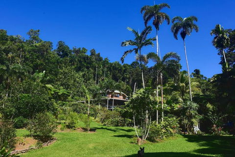 A Daintree Garden - Surfers Paradise Gold Coast 0
