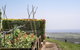 A PERFECT STAY - Pacific Ridge - thumb 2
