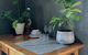 EcoLuxe - thumb 3