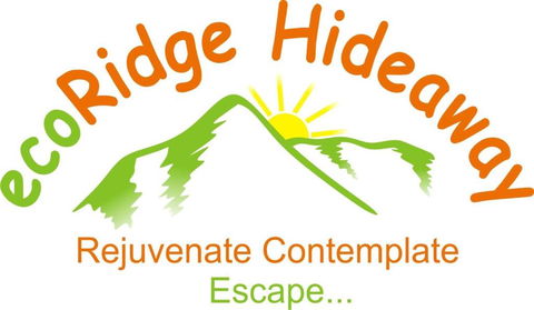 EcoRidge Hideaway - Surfers Paradise Gold Coast 4