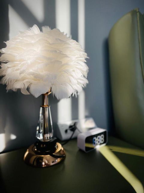 Equitice Spring Moonlight Villa - Surfers Paradise Gold Coast 1