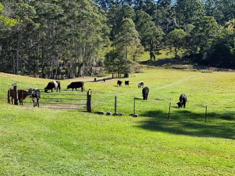 Fiery, Cozy Starry Nights - Farm Stay! - Surfers Paradise Gold Coast 2