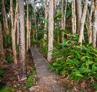 Agnes Palms Accommodation - Surfers Paradise Gold Coast