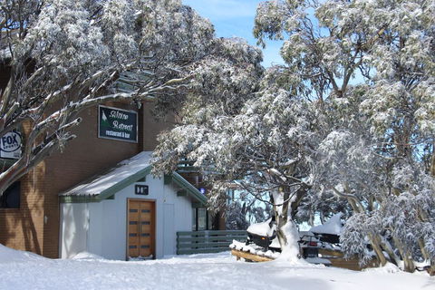Alpine Retreat Mt Buller - Surfers Paradise Gold Coast 0