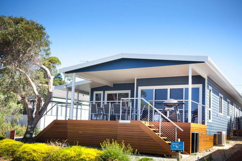 Angasi Coffin Bay - Surfers Paradise Gold Coast 0