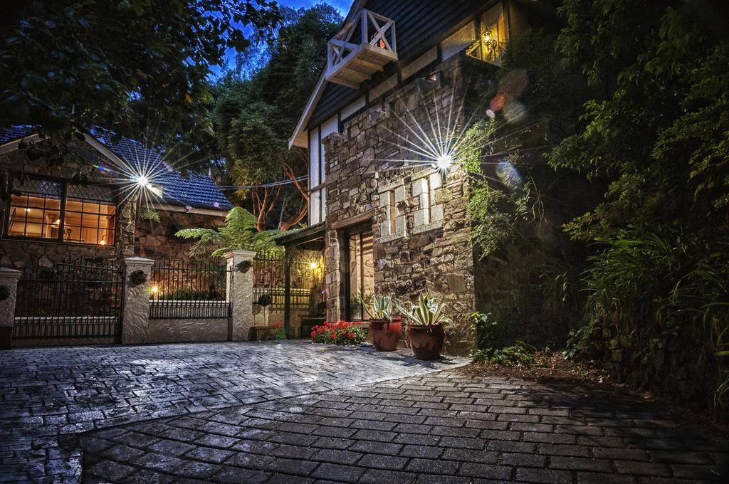 The Patch VIC Surfers Paradise Gold Coast