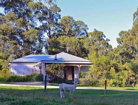 Araluen Park Cottages - Surfers Paradise Gold Coast 0