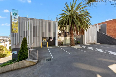 Areca Launceston - Surfers Paradise Gold Coast 1