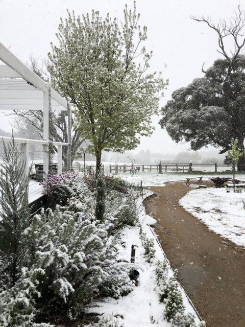 Luxury Accomodation, Farm Stay, Stunning Views Near Daylesford - Surfers Paradise Gold Coast 1