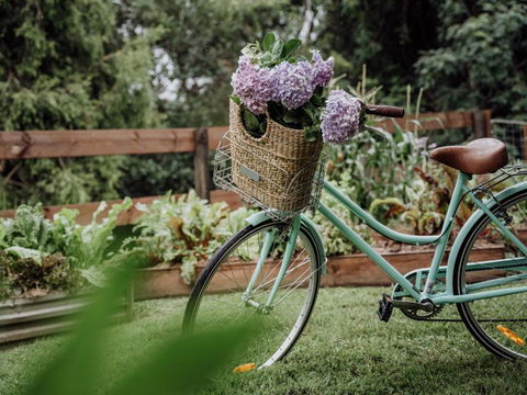 Mountview Alpaca Farmhouse - Surfers Paradise Gold Coast 2