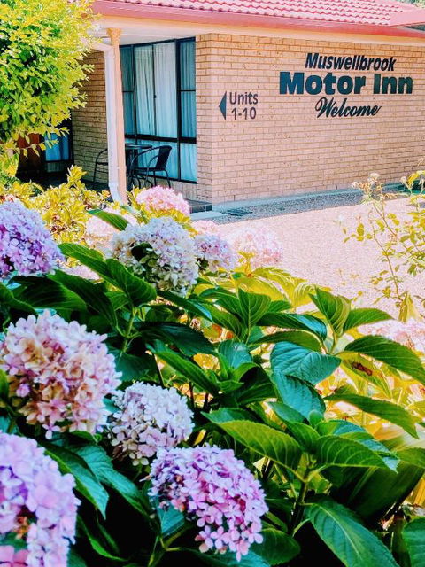 Muswellbrook Motor Inn - Surfers Paradise Gold Coast 0