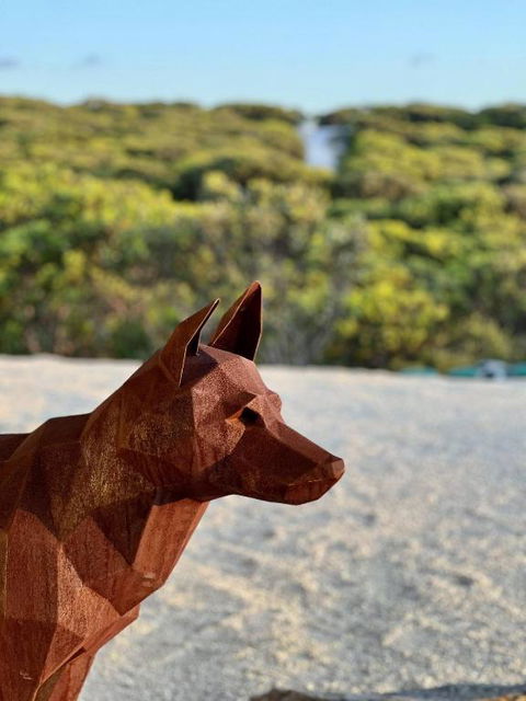 Native Dog Cabin - Surfers Paradise Gold Coast 2
