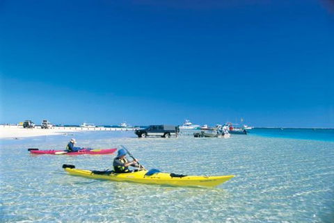 Ningaloo Club Backpackers - Surfers Paradise Gold Coast 2
