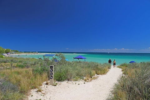 Ningaloo Club Backpackers - Surfers Paradise Gold Coast 1